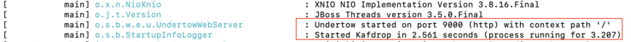 Starting Kafdrop | Terminal logs
